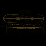 TABLA DE SNOWBOARD CARDIFF SWELL ENDURO
