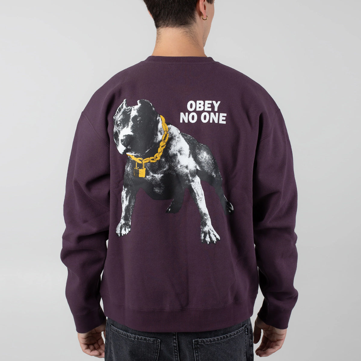 OBEYNOONECREWNECKPLUMPERFECT2.jpg