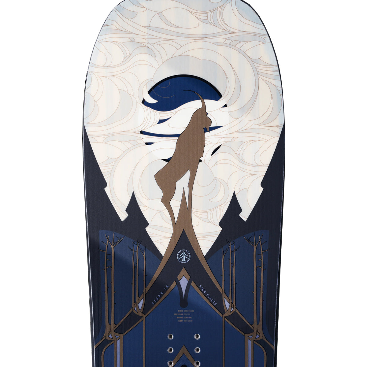 TABLADESNOWBOARDCARDIFFGOATENDURO1.jpg