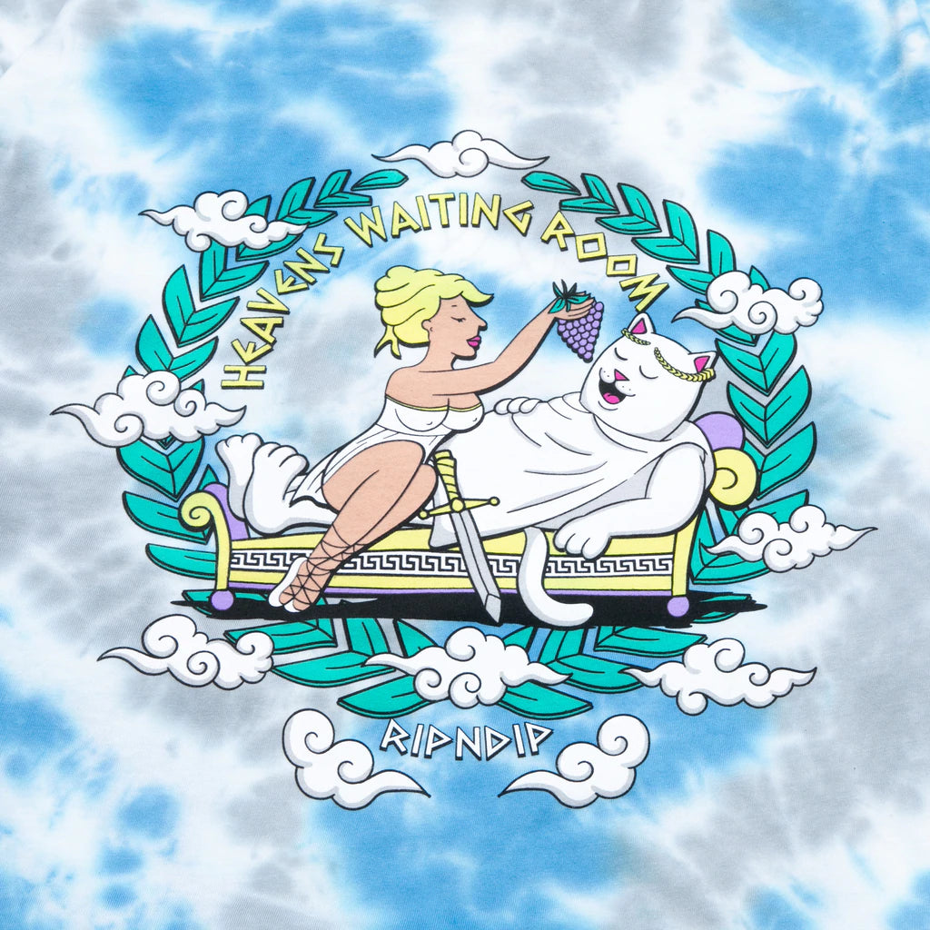 POLERA RIPNDIP WAITING IN HEAVEN LS BLUE CLOUD WASH